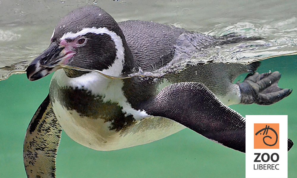 Liberec Zoo